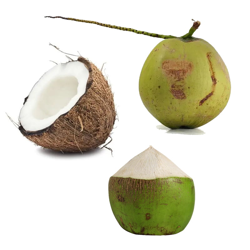 coconut processing machine
